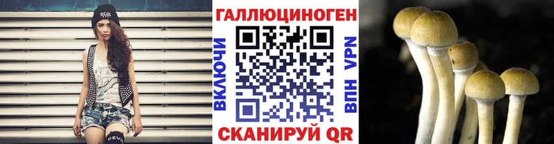 Псилоцибиновые грибы Cubensis  Мураши 