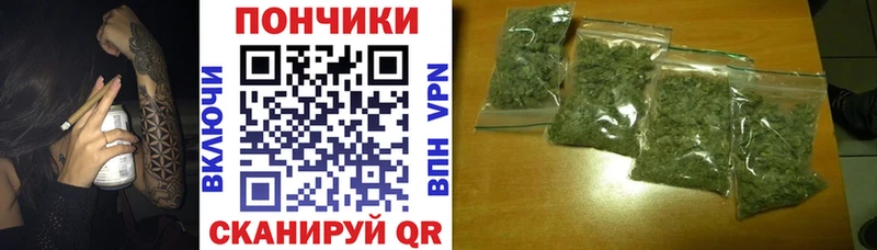 OMG онион  Мураши  Шишки марихуана THC 21% 